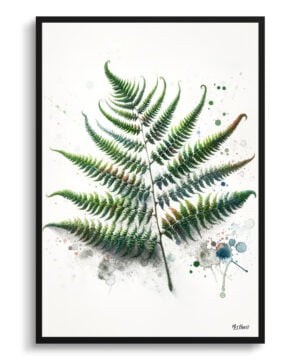 Sensitive Fern (Onoclea) Watercolour Botanical Art Print - Blotted Painting Framed Plant Wall Art