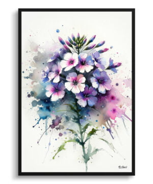 Sweet Rocket (Hesperis matronalis) Watercolour Botanical Art Print - Blotted Painting Framed Plant Wall Art