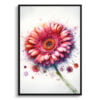 Transvaal daisy (Gerbera) Watercolour Botanical Art Print - Blotted Painting Framed Plant Wall Art 1 watercolour blotted flowers transvaal daisygerbera front view