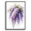 Wisteria (Fabaceae) Watercolour Botanical Art Print - Blotted Painting Framed Plant Wall Art 2 watercolour blotted flowers wisteriafabaceae front view