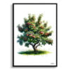 Apple tree (Malus Domestica) Watercolour Painting Style Art Print - Illustration Framed Plant Wall Art 2 watercolour realist flowers apple treemalus domestica front view