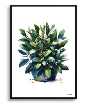 Bay Laurel (Laurus nobilisl) Watercolour Painting Style Art Print - Illustration Framed Plant Wall Art