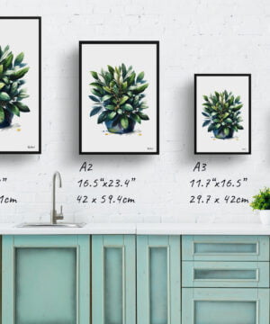 Bay Laurel (Laurus nobilisl) Watercolour Painting Style Art Print - Illustration Framed Plant Wall Art 17 Bay Laurel (Laurus nobilisl) Watercolour Painting Style Art Print - Illustration Framed Plant Wall Art - Image 4