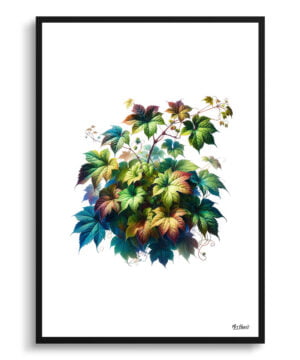 Big Leaved Pepper Vine (Ampelopsis megalophylla) Watercolour Painting Style Art Print - Illustration Framed Plant Wall Art