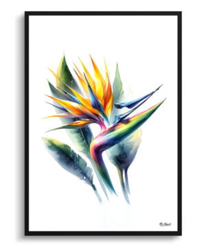 Bird of Paradise (Strelitzia) Watercolour Painting Style Art Print - Illustration Framed Plant Wall Art