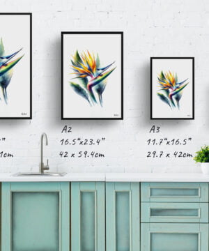 Bird of Paradise (Strelitzia) Watercolour Painting Style Art Print - Illustration Framed Plant Wall Art 17 Bird of Paradise (Strelitzia) Watercolour Painting Style Art Print - Illustration Framed Plant Wall Art - Image 4