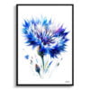 Cornflower (Centaurea cyanus) Watercolour Painting Style Art Print - Illustration Framed Plant Wall Art 2 watercolour realist flowers cornflowercentaurea cyanus front view