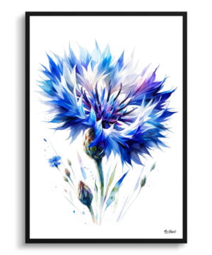 Cornflower (Centaurea cyanus) Watercolour Painting Style Art Print - Illustration Framed Plant Wall Art
