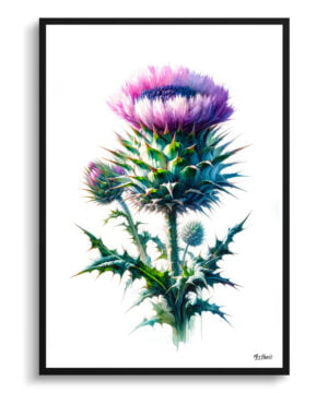 Cotton thistle (Onopordum) Watercolour Painting Style Art Print - Illustration Framed Plant Wall Art