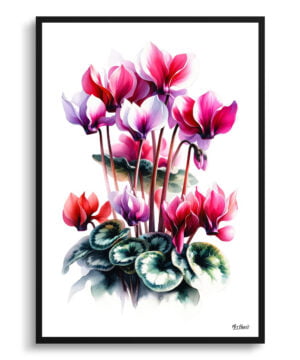 Cyclamen Persicum (Cyclamen) Watercolour Painting Style Art Print - Illustration Framed Plant Wall Art
