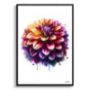 Dahlia (Asteraceae) Watercolour Painting Style Art Print - Illustration Framed Plant Wall Art 2 watercolour realist flowers dahliaasteraceae front view