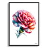Dianthus caryophyllus (Carnation) Watercolour Painting Style Art Print - Illustration Framed Plant Wall Art 1 watercolour realist flowers dianthus caryophylluscarnation front view