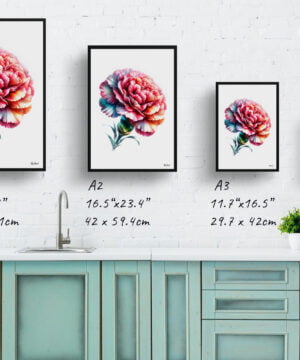 Dianthus caryophyllus (Carnation) Watercolour Painting Style Art Print - Illustration Framed Plant Wall Art 17 Dianthus caryophyllus (Carnation) Watercolour Painting Style Art Print - Illustration Framed Plant Wall Art - Image 4