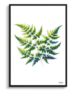 Five-fingered maidenhair fern (Adiantum pedatum) Watercolour Painting Style Art Print - Illustration Framed Plant Wall Art