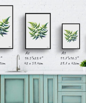 Five-fingered maidenhair fern (Adiantum pedatum) Watercolour Painting Style Art Print - Illustration Framed Plant Wall Art 17 Five-fingered maidenhair fern (Adiantum pedatum) Watercolour Painting Style Art Print - Illustration Framed Plant Wall Art - Image 4