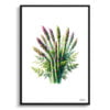 Gijnlim (Asparagus Officinalis) Watercolour Painting Style Art Print - Illustration Framed Plant Wall Art 1 watercolour realist flowers gijnlimasparagus officinalis front view