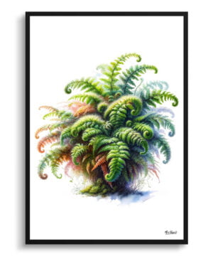 Hairy lip fern (Cheilanthes Lanosa) Watercolour Painting Style Art Print - Illustration Framed Plant Wall Art