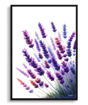 Lavender (Lavendula) Watercolour Painting Style Art Print - Illustration Framed Plant Wall Art