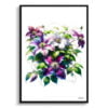 Leather flower (Clematis) Watercolour Painting Style Art Print - Illustration Framed Plant Wall Art 2 watercolour realist flowers leather flowerclematis front view