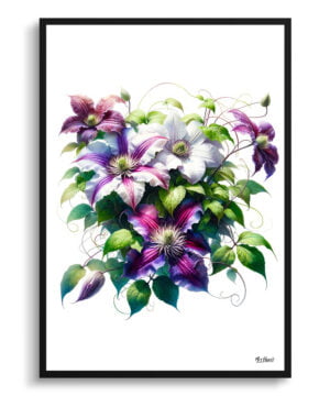 Leather flower (Clematis) Watercolour Painting Style Art Print - Illustration Framed Plant Wall Art