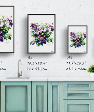 Leather flower (Clematis) Watercolour Painting Style Art Print - Illustration Framed Plant Wall Art 17 Leather flower (Clematis) Watercolour Painting Style Art Print - Illustration Framed Plant Wall Art - Image 4