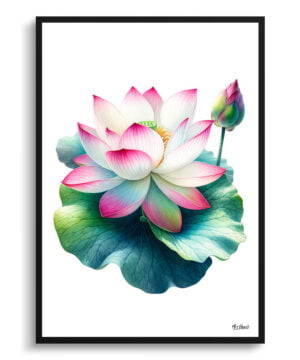 Lotus (Nelumbo nucifera) Watercolour Painting Style Art Print - Illustration Framed Plant Wall Art