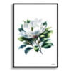Magnolia (grandiflora) Watercolour Painting Style Art Print - Illustration Framed Plant Wall Art 1 watercolour realist flowers magnoliagrandiflora front view