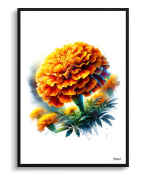 Marigold (Tagetes) Watercolour Painting Style Art Print - Illustration Framed Plant Wall Art