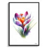 Meadow Saffron (Crocus) Watercolour Painting Style Art Print - Illustration Framed Plant Wall Art 1 watercolour realist flowers meadow saffroncrocus front view