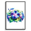 Morning Glory (Ipomoea purpurea) Watercolour Painting Style Art Print - Illustration Framed Plant Wall Art 1 watercolour realist flowers morning gloryipomoea purpurea front view