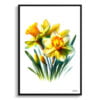Narcissus Jonquil (Daffodil) Watercolour Painting Style Art Print - Illustration Framed Plant Wall Art 2 watercolour realist flowers narcissus jonquildaffodil front view