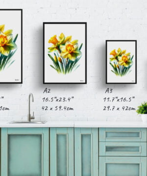 Narcissus Jonquil (Daffodil) Watercolour Painting Style Art Print - Illustration Framed Plant Wall Art - Image 4