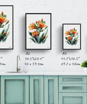 Natal Lily (Clivia) Watercolour Painting Style Art Print - Illustration Framed Plant Wall Art 17 Natal Lily (Clivia) Watercolour Painting Style Art Print - Illustration Framed Plant Wall Art - Image 4