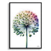 Ornamental onion (Allium Nigrum) Watercolour Painting Style Art Print - Illustration Framed Plant Wall Art 1 watercolour realist flowers ornamental onionallium nigrum front view