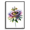 Passion Flower (Passiflora) Watercolour Painting Style Art Print - Illustration Framed Plant Wall Art 1 watercolour realist flowers passion flowerpassiflora front view