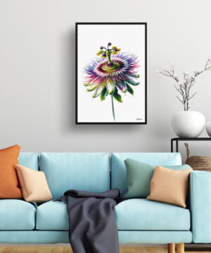 Passion Flower (Passiflora) Watercolour Painting Style Art Print - Illustration Framed Plant Wall Art 15 Passion Flower (Passiflora) Watercolour Painting Style Art Print - Illustration Framed Plant Wall Art - Image 2