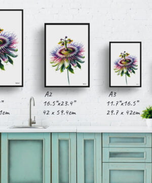 Passion Flower (Passiflora) Watercolour Painting Style Art Print - Illustration Framed Plant Wall Art 17 Passion Flower (Passiflora) Watercolour Painting Style Art Print - Illustration Framed Plant Wall Art - Image 4