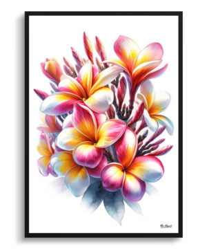 Plumeria (Frangipani) Watercolour Painting Style Art Print - Illustration Framed Plant Wall Art