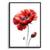 Poppy (Papaver rhoeas) Watercolour Painting Style Art Print - Illustration Framed Plant Wall Art