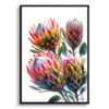 Proteas (Sugarbushes) Watercolour Painting Style Art Print - Illustration Framed Plant Wall Art 1 watercolour realist flowers proteassugarbushes front view