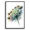 Queen Anne's lace (Daucus carota) Watercolour Painting Style Art Print - Illustration Framed Plant Wall Art 2 watercolour realist flowers queen annes lacedaucus carota front view