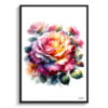 Rose (Rosa) Watercolour Painting Style Art Print - Illustration Framed Plant Wall Art 1 watercolour realist flowers roserosa front view