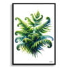 Royal Fern (Osmunda) Watercolour Painting Style Art Print - Illustration Framed Plant Wall Art 2 watercolour realist flowers royal fernosmunda front view