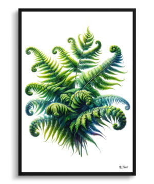 Royal Fern (Osmunda) Watercolour Painting Style Art Print - Illustration Framed Plant Wall Art
