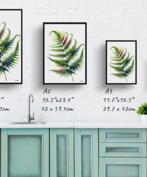 Sensitive Fern (Onoclea) Watercolour Painting Style Art Print - Illustration Framed Plant Wall Art 17 Sensitive Fern (Onoclea) Watercolour Painting Style Art Print - Illustration Framed Plant Wall Art - Image 4