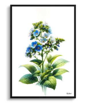 Siberian bugloss (Brunnera Macrophylla) Watercolour Painting Style Art Print - Illustration Framed Plant Wall Art