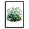 Snowdrop (Galanthus) Watercolour Painting Style Art Print - Illustration Framed Plant Wall Art 1 watercolour realist flowers snowdropgalanthus front view