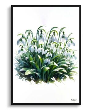 Snowdrop (Galanthus) Watercolour Painting Style Art Print - Illustration Framed Plant Wall Art