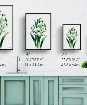 Summer snowflake (Leucojum Aestivum) Watercolour Painting Style Art Print - Illustration Framed Plant Wall Art 17 Summer snowflake (Leucojum Aestivum) Watercolour Painting Style Art Print - Illustration Framed Plant Wall Art - Image 4