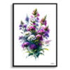 Sweet Rocket (Hesperis matronalis) Watercolour Painting Style Art Print - Illustration Framed Plant Wall Art 2 watercolour realist flowers sweet rockethesperis matronalis front view
